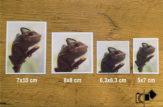 Classic keretes mágnesfotók– egyedi, fehér keretes FlexiMágnes