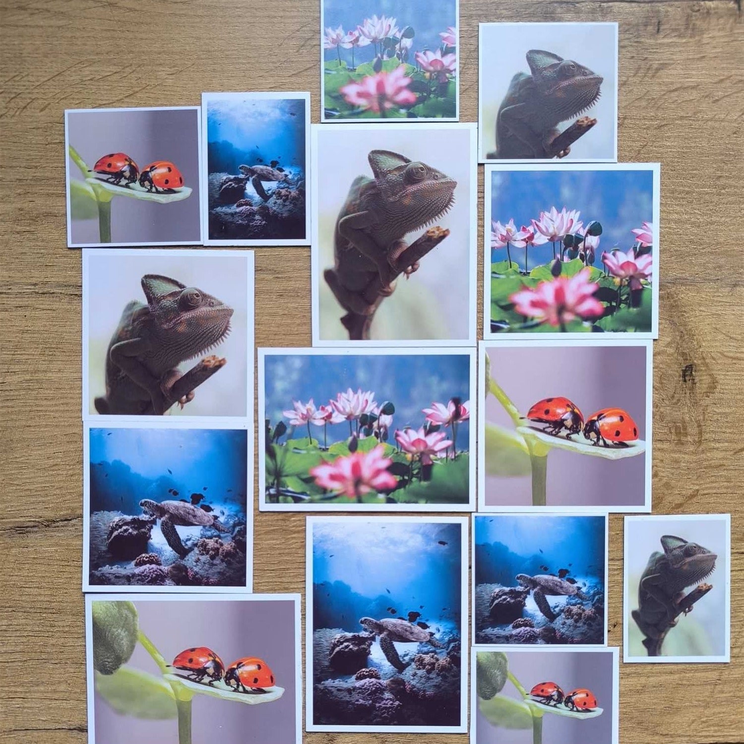 flexi-fotomagnes-ajandek-csaladi-kepek